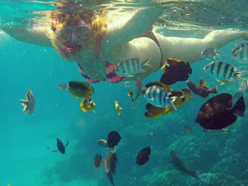 Sharm El Naga Bay - Full Day